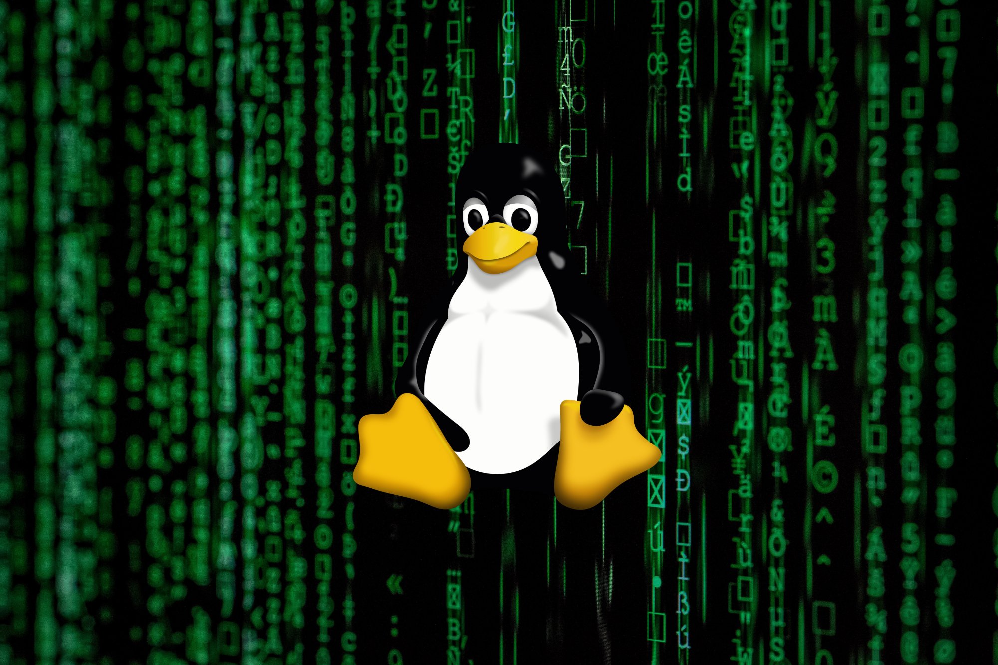 Luka w popularnym poleceniu Linuxa. Nieuprawnieni użytkownicy mogli uruchamiać programy jako administrator