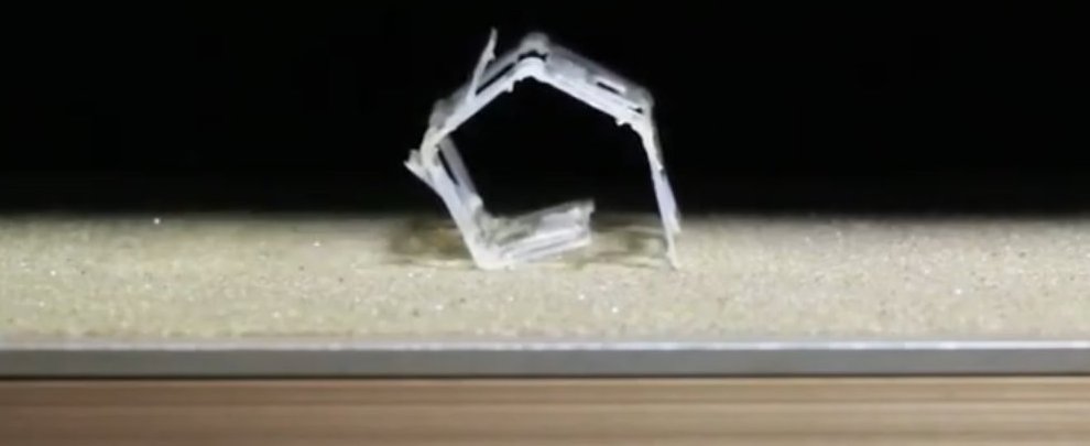 Rollbot – miękki robot, który zmienia kształt pod wpływem bodźców