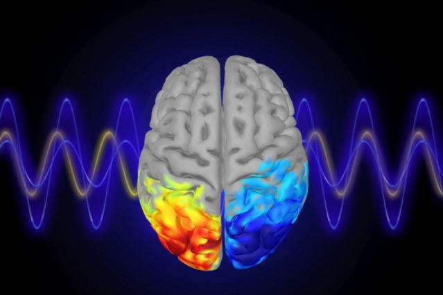 Kontrolowanie fal mózgowych alfa przyczynia się do zwiększenia uwagi