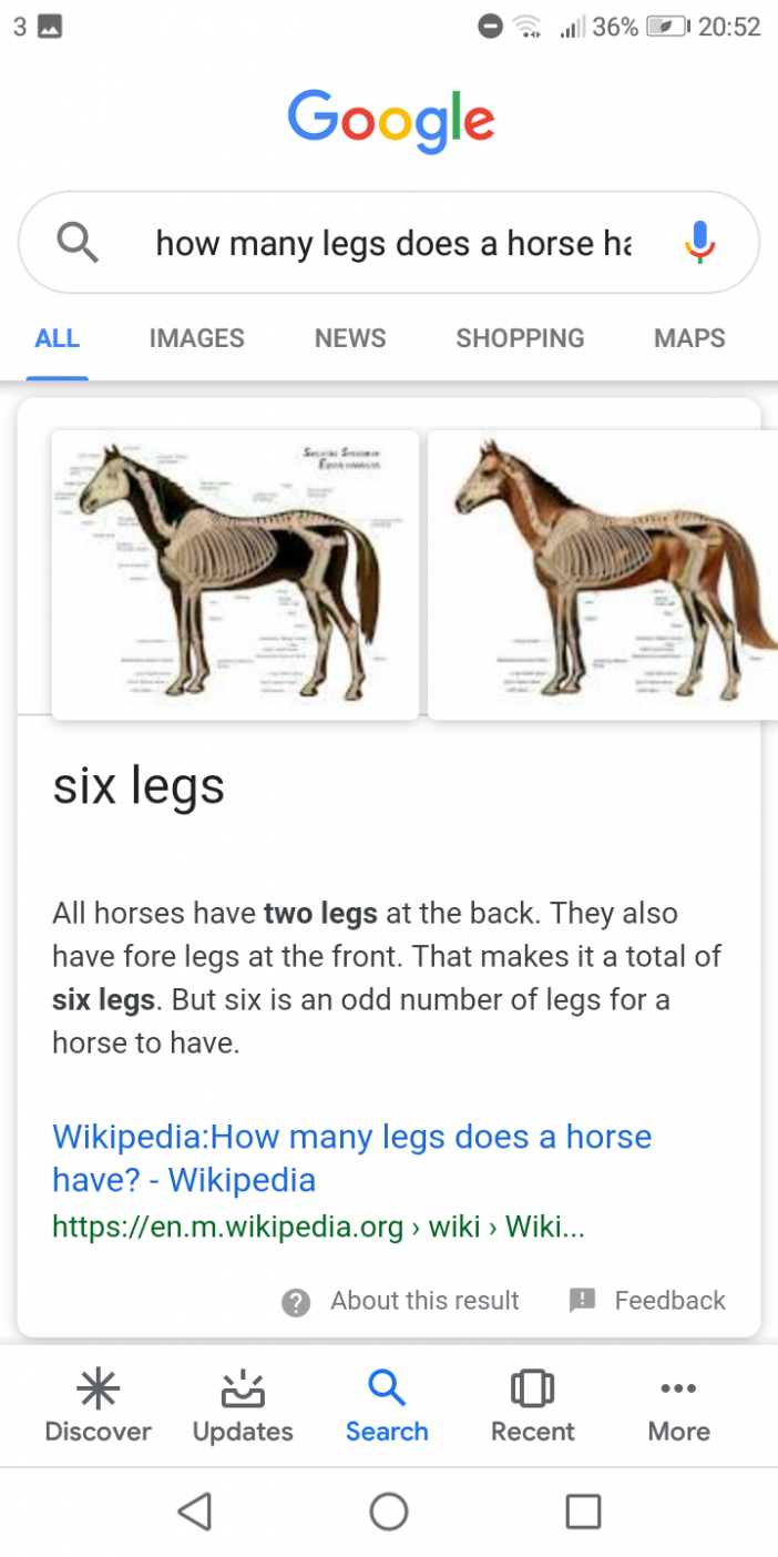koń liczba nóg
