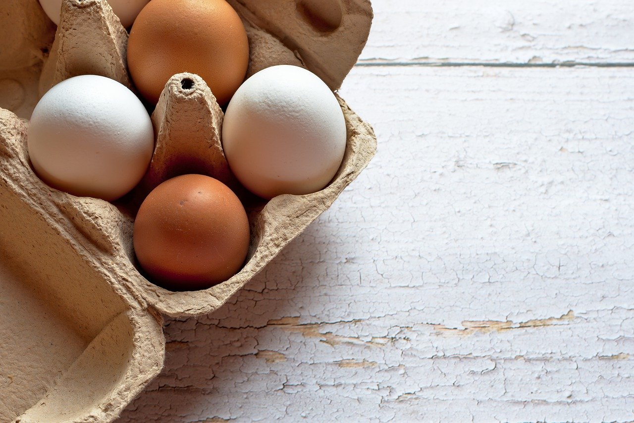 Poznamy równanie na kształt jajka? Naukowcy chcą stworzyć uniwersalne wyrażenie algebraiczne