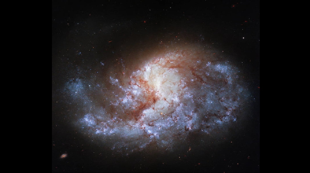 Tak wygląda NGC 1385, galaktyka spiralna oddalona o 68 milionów lat świetlnych
