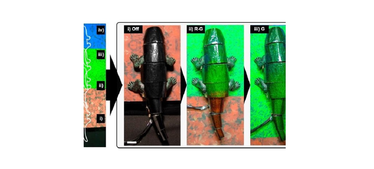 Robot zmienia kolory niczym kameleon. Jego twórca chce zaprojektować “pelerynę-niewidkę”