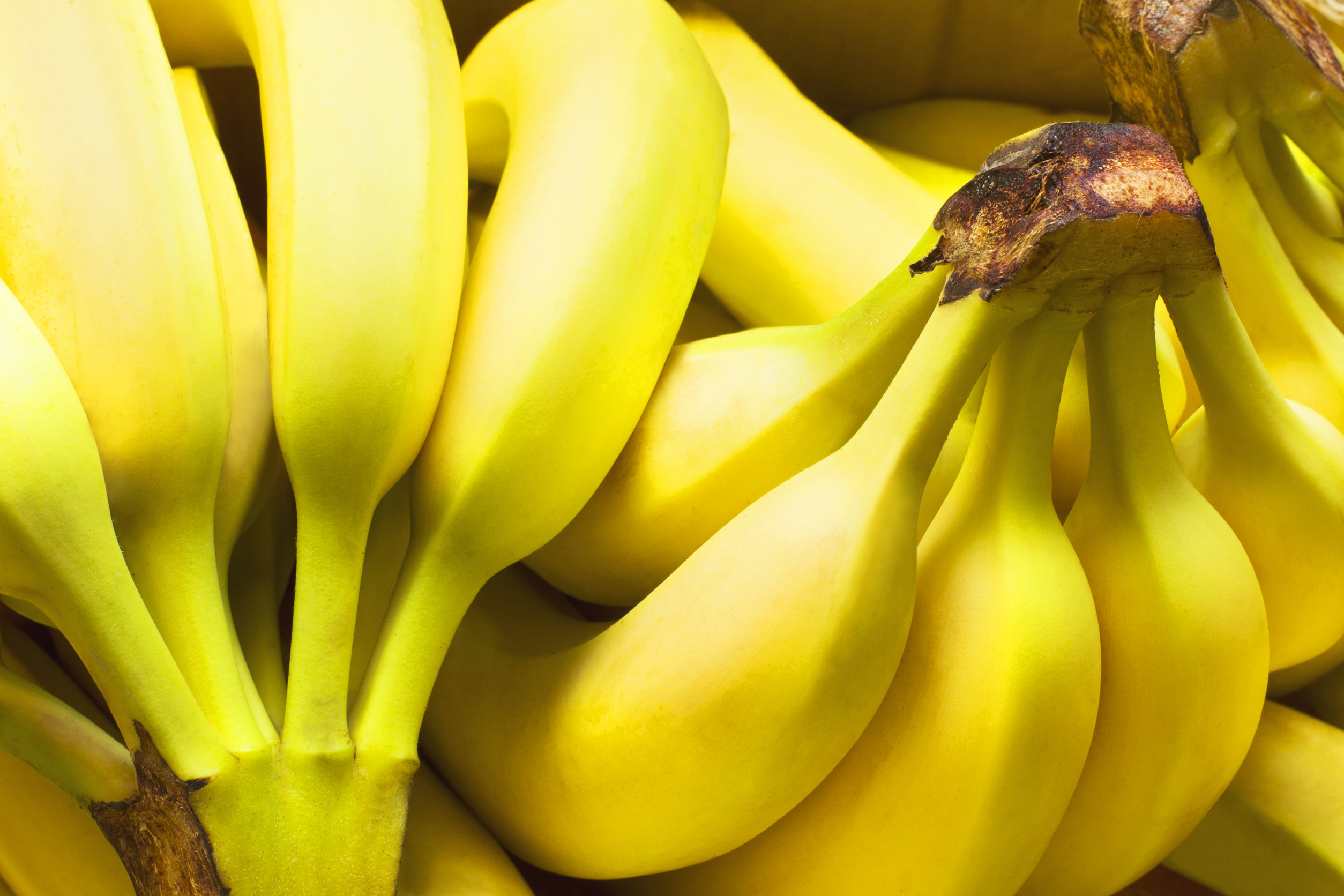 Banany sposobem na paliwo wodorowe?
