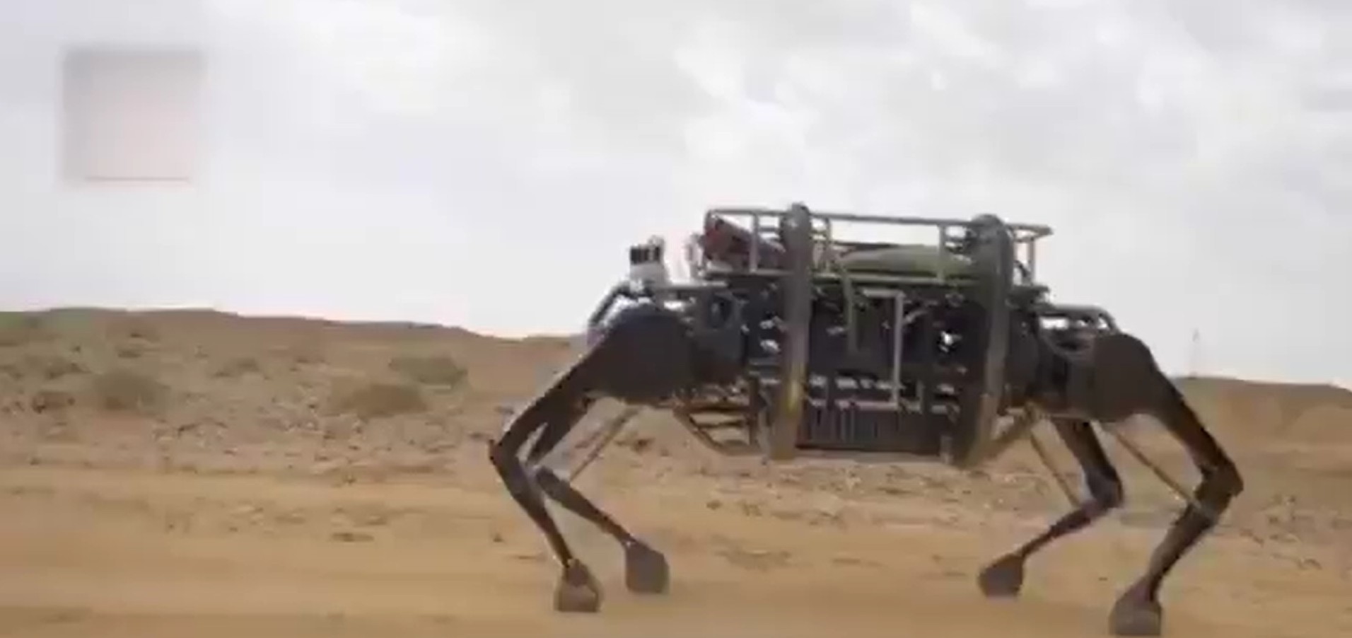 Chiński robot kroczący jest największy na świecie. I trochę przypomina jaka