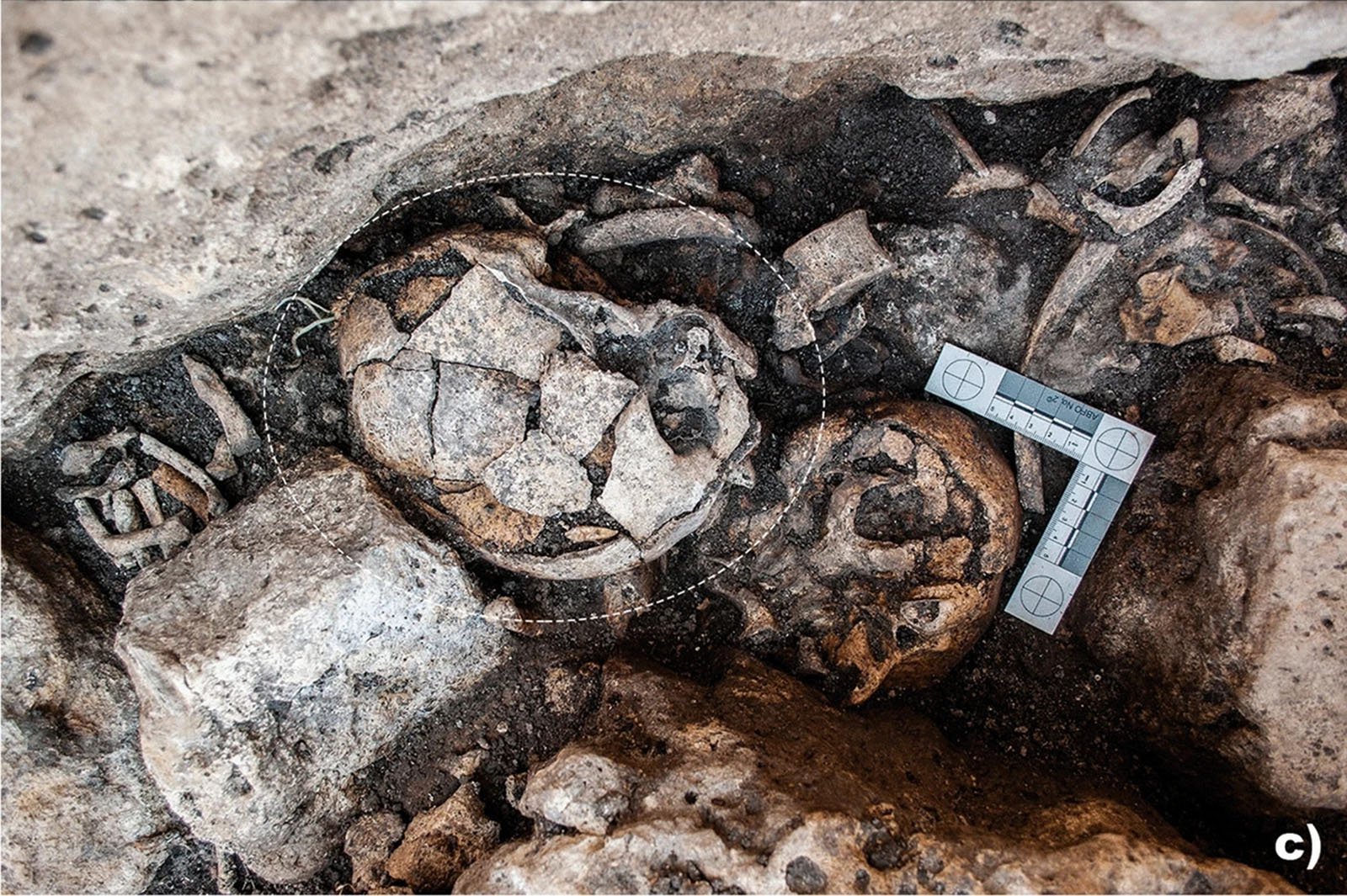 Czaszka sprzed 5300 lat odkryta w Hiszpanii
