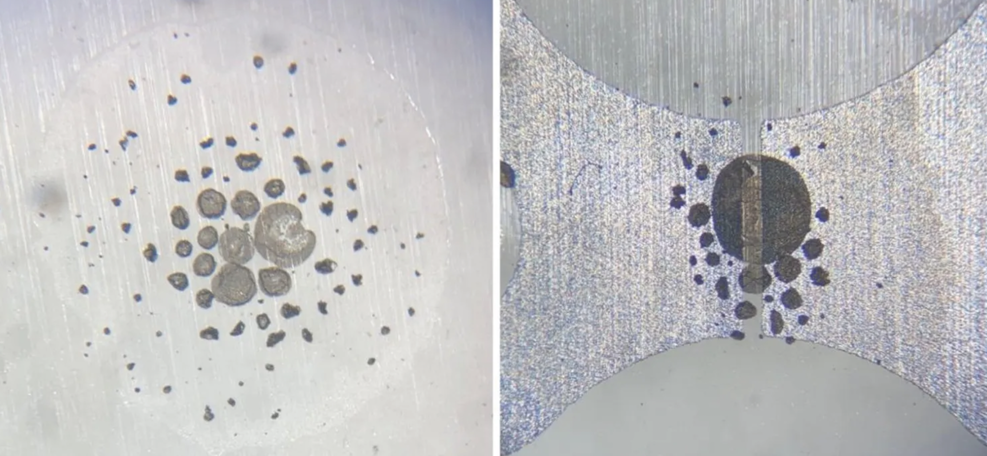 Mikrofotografie optyczne pokazują osadzanie się kropel grafenowych (po lewej) i montaż (po prawej) w wąskiej szczelinie elektrody (~100 µm)
