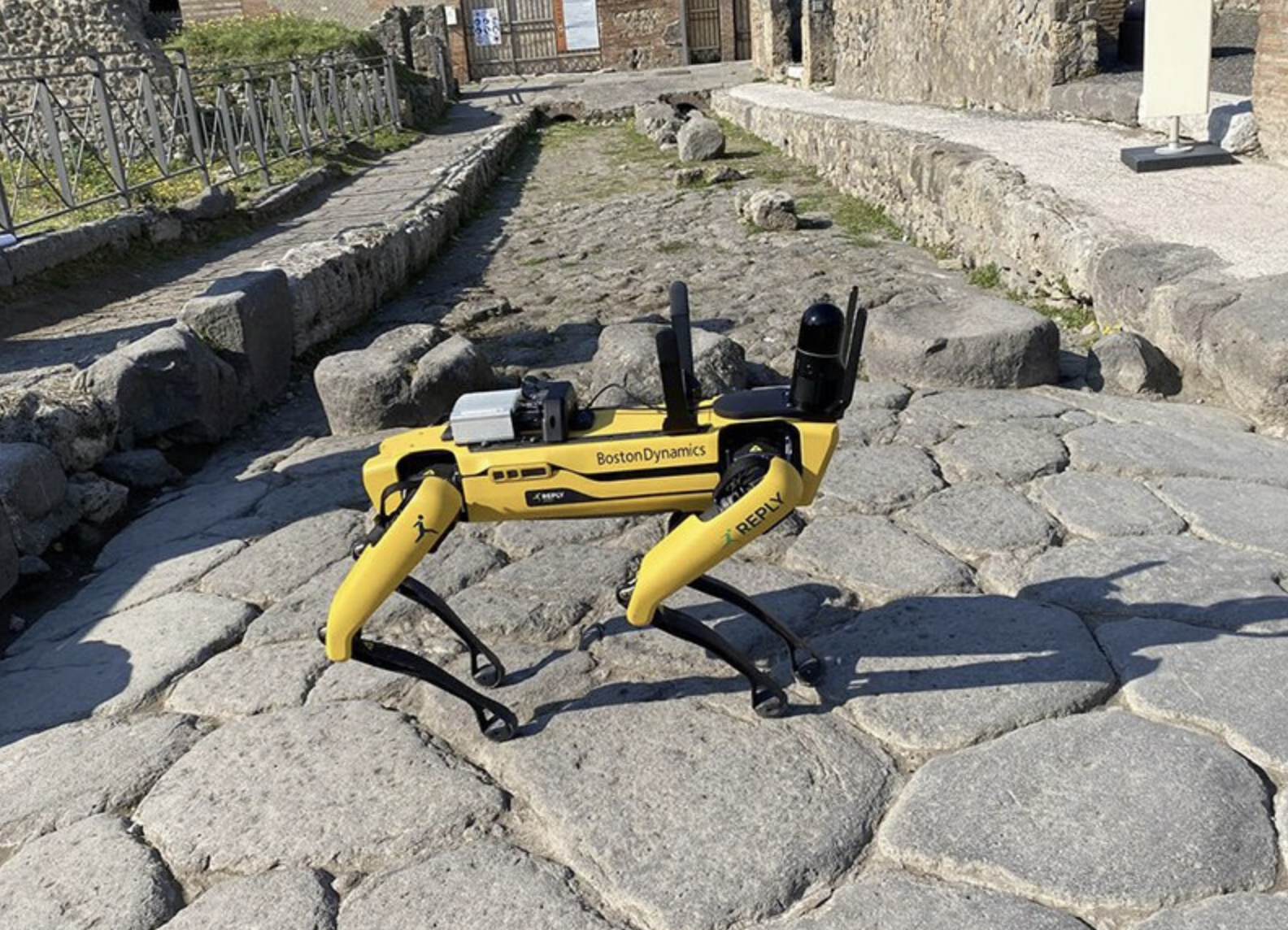 Spot patroluje Pompeje. Robot odstraszy łowców skarbów