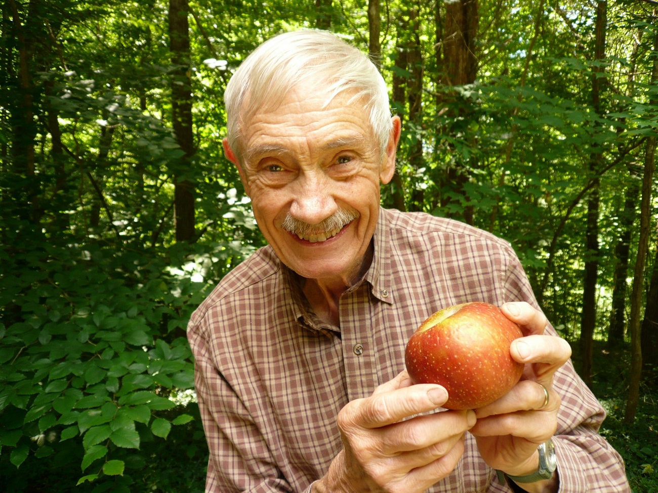 Inżynier ratuje ginące odmiany jabłek. Jego metody są niezwykłe