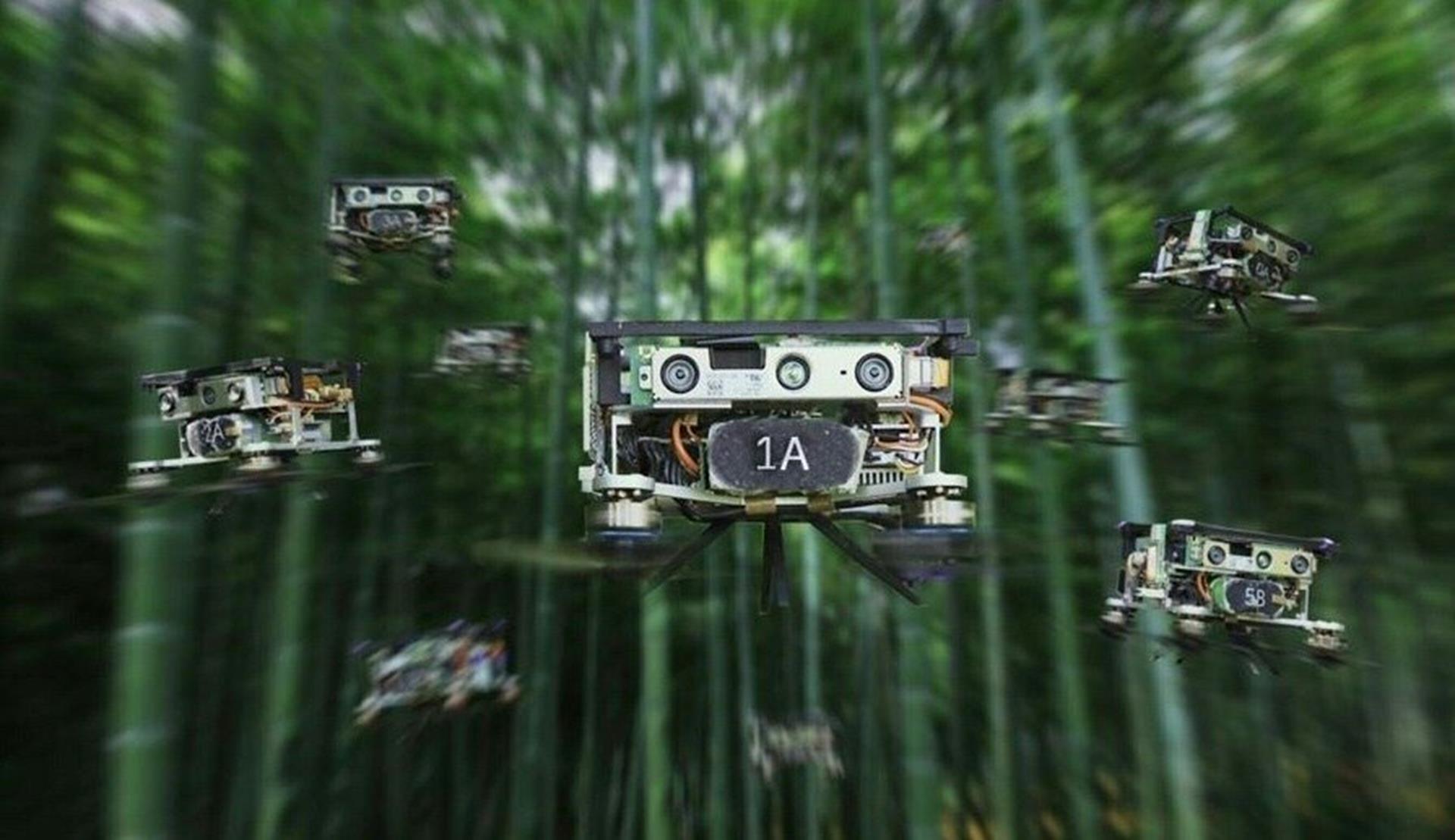Obejrzyjcie jak rój chińskich dronów przemierza gęsty bambusowy las