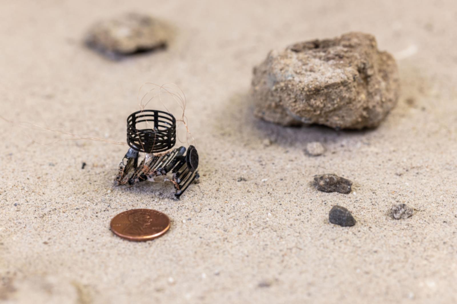 Uproszczono drukowanie miniaturowych robotów, wyjątkowy jednoetapowy proces