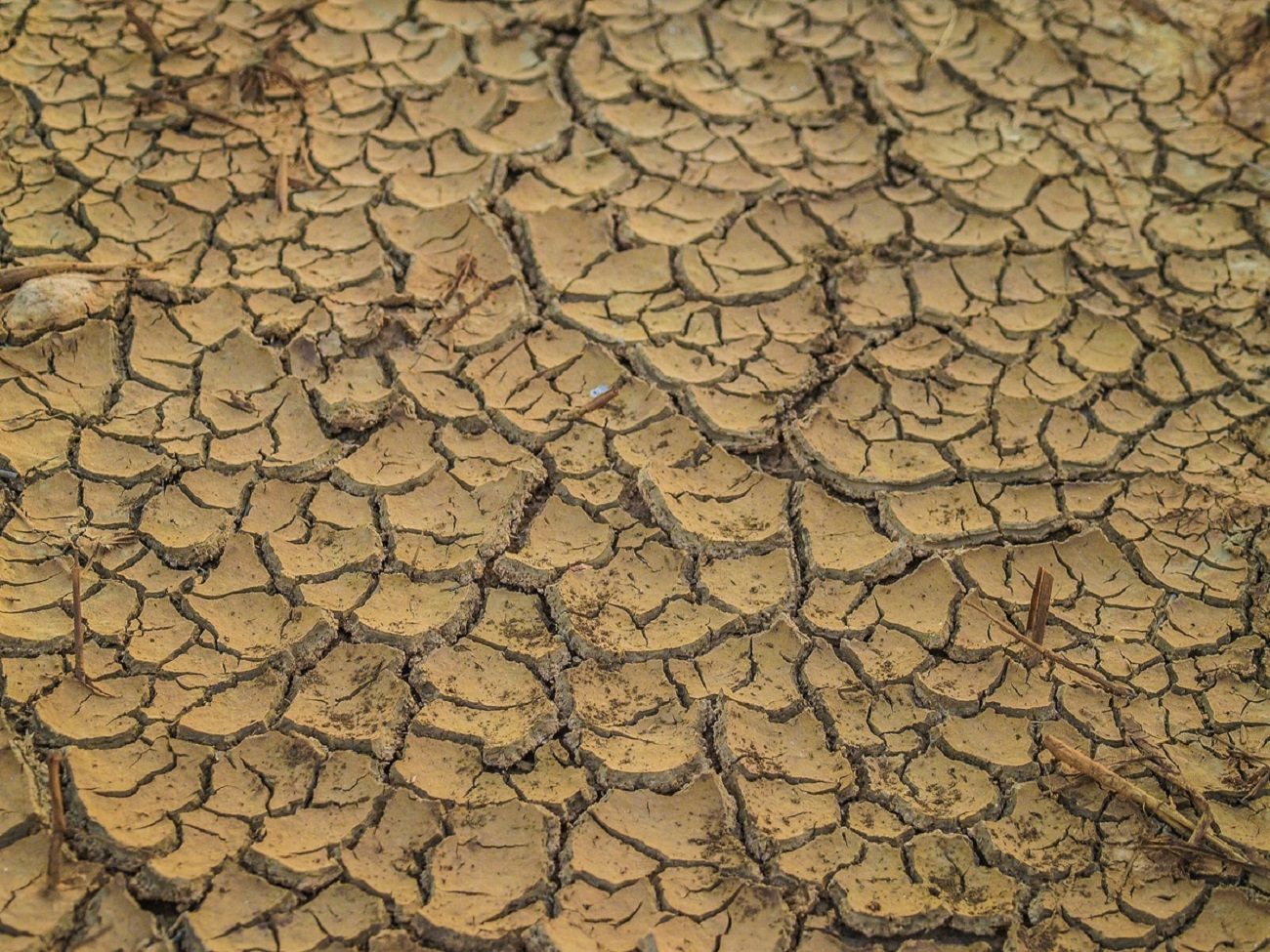 Klęska suszy w Chinach. W walce z kryzysem ma pomóc ta metoda