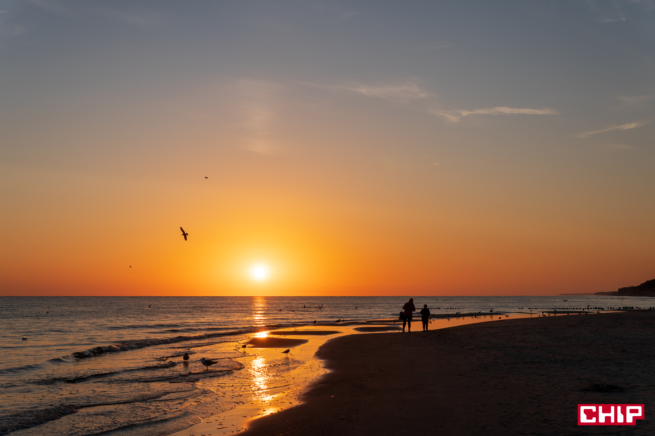 Fotografia – balans bieli