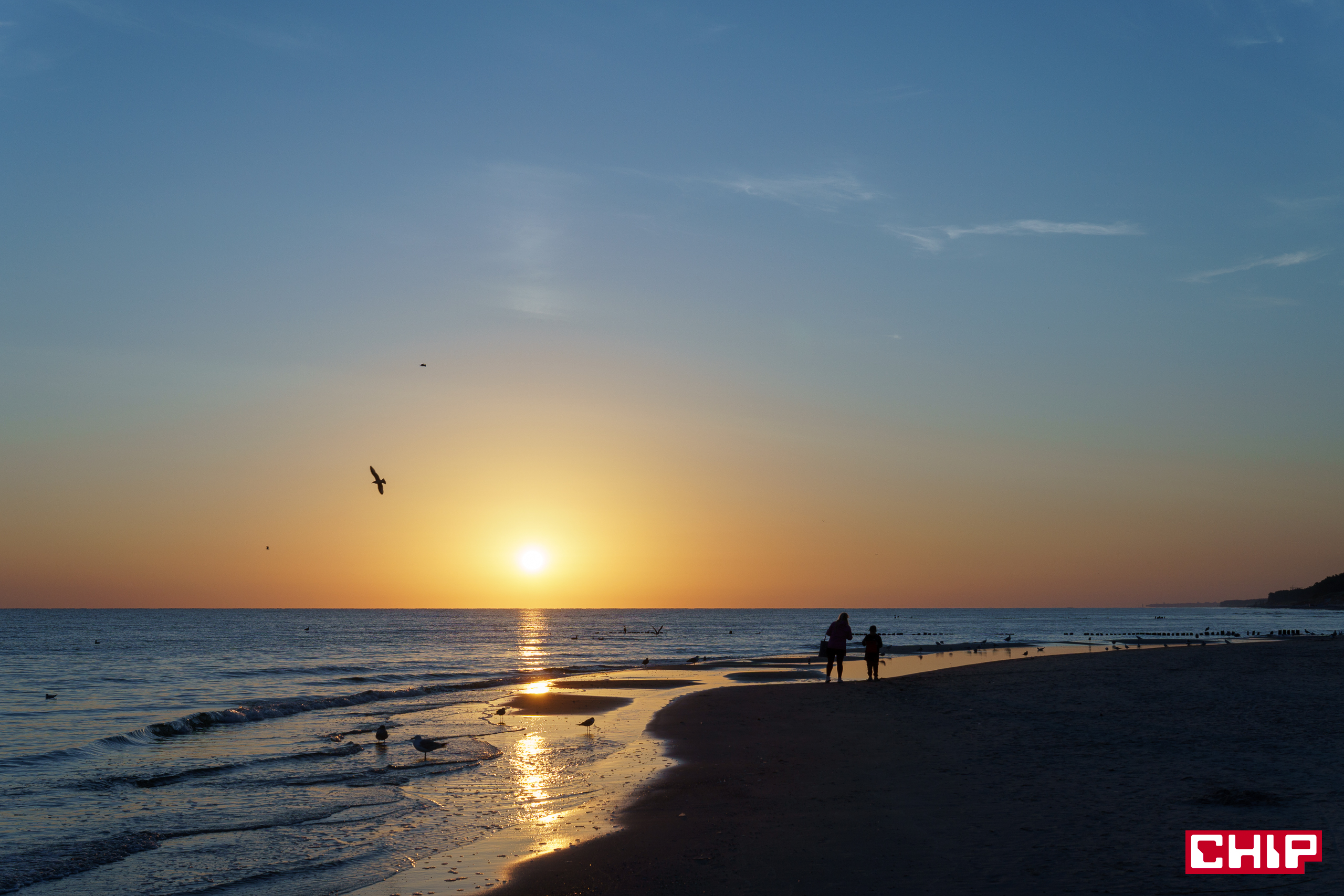 Fotografia – balans bieli