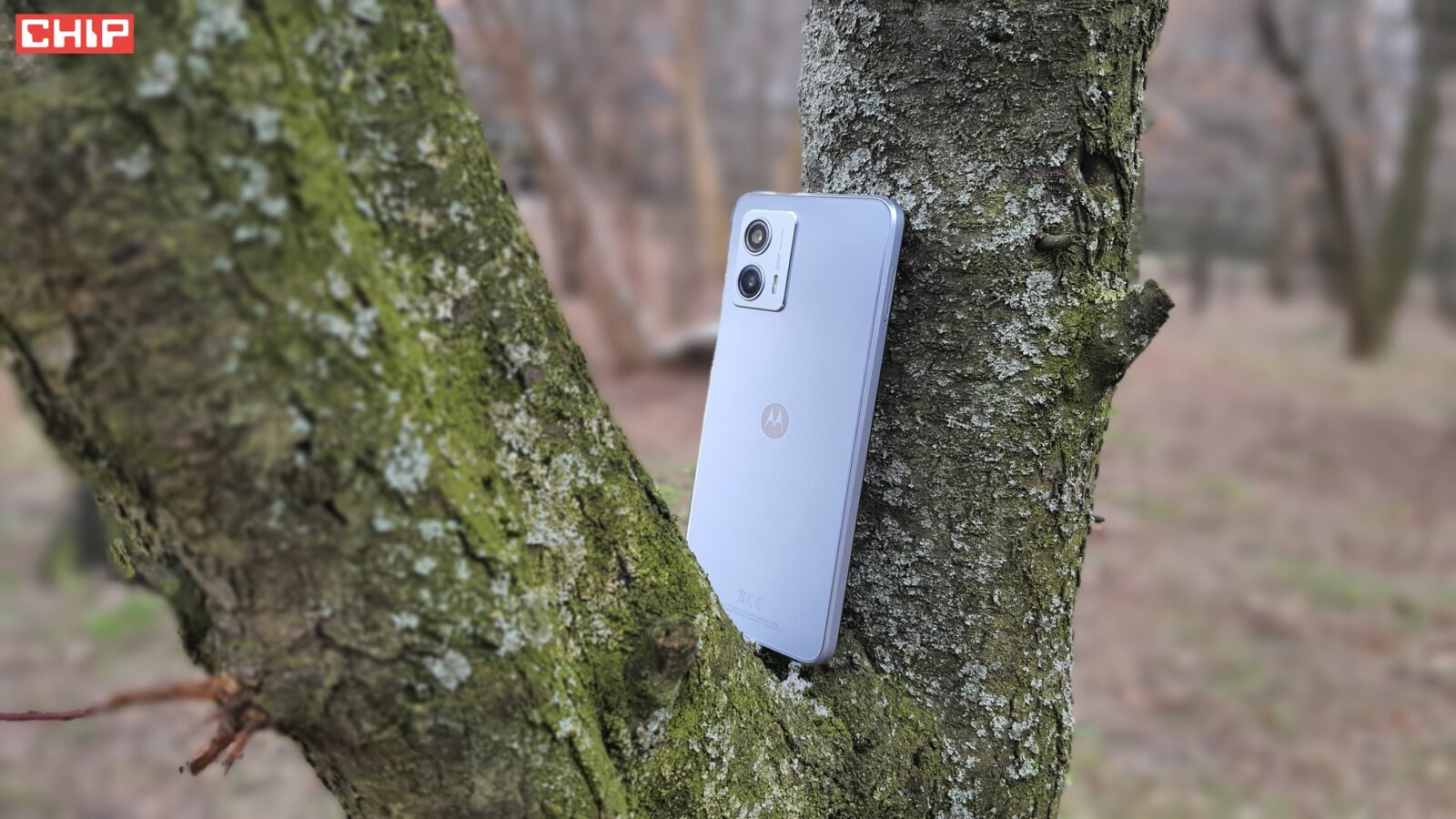 Motorola moto g53 5G