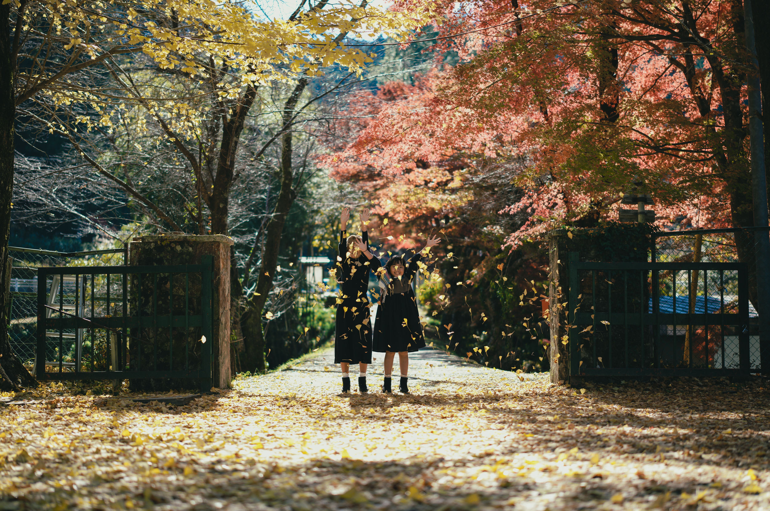 Sigma 50 mm F1.4 DG DN | Art