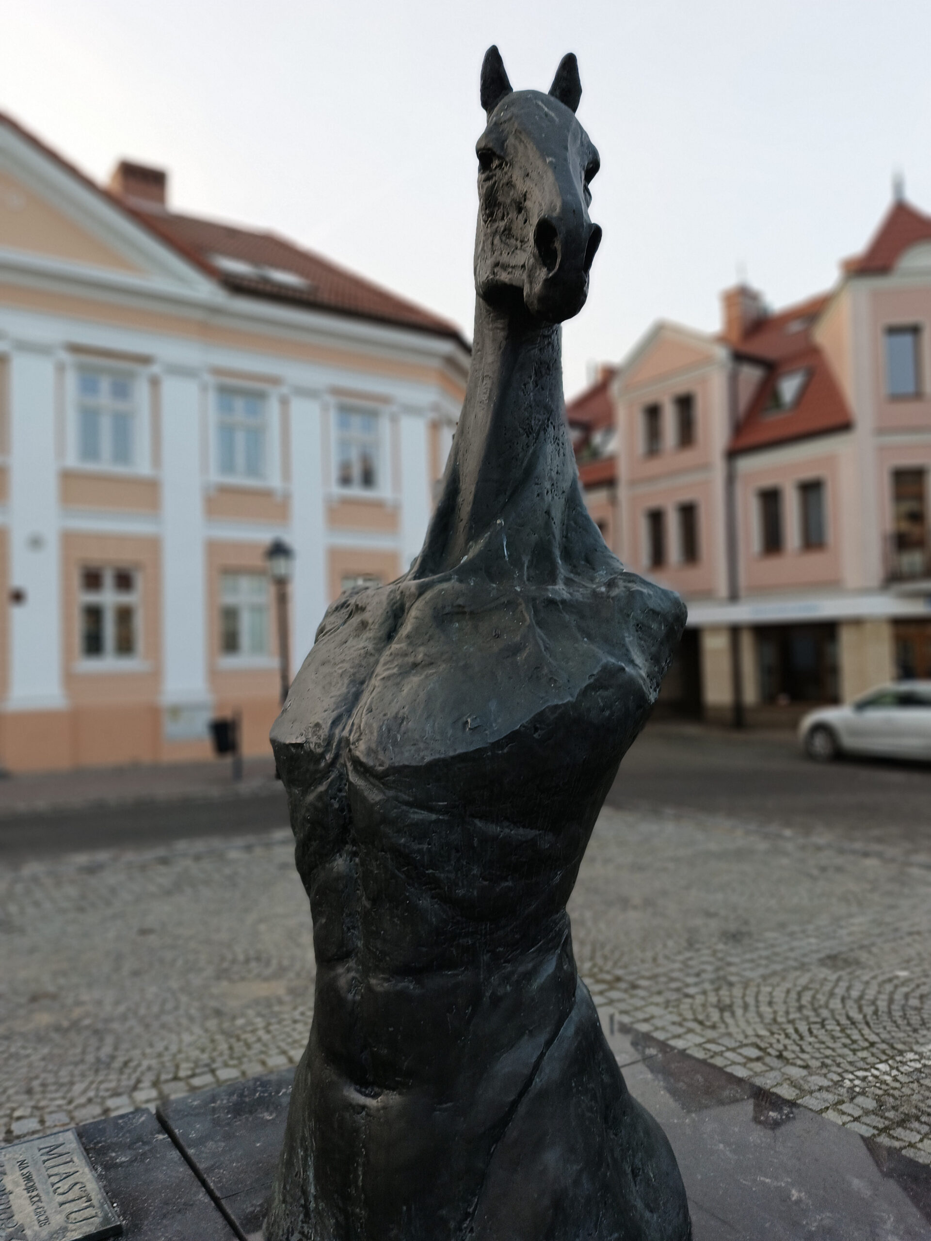 Oppo Reno 8T portret