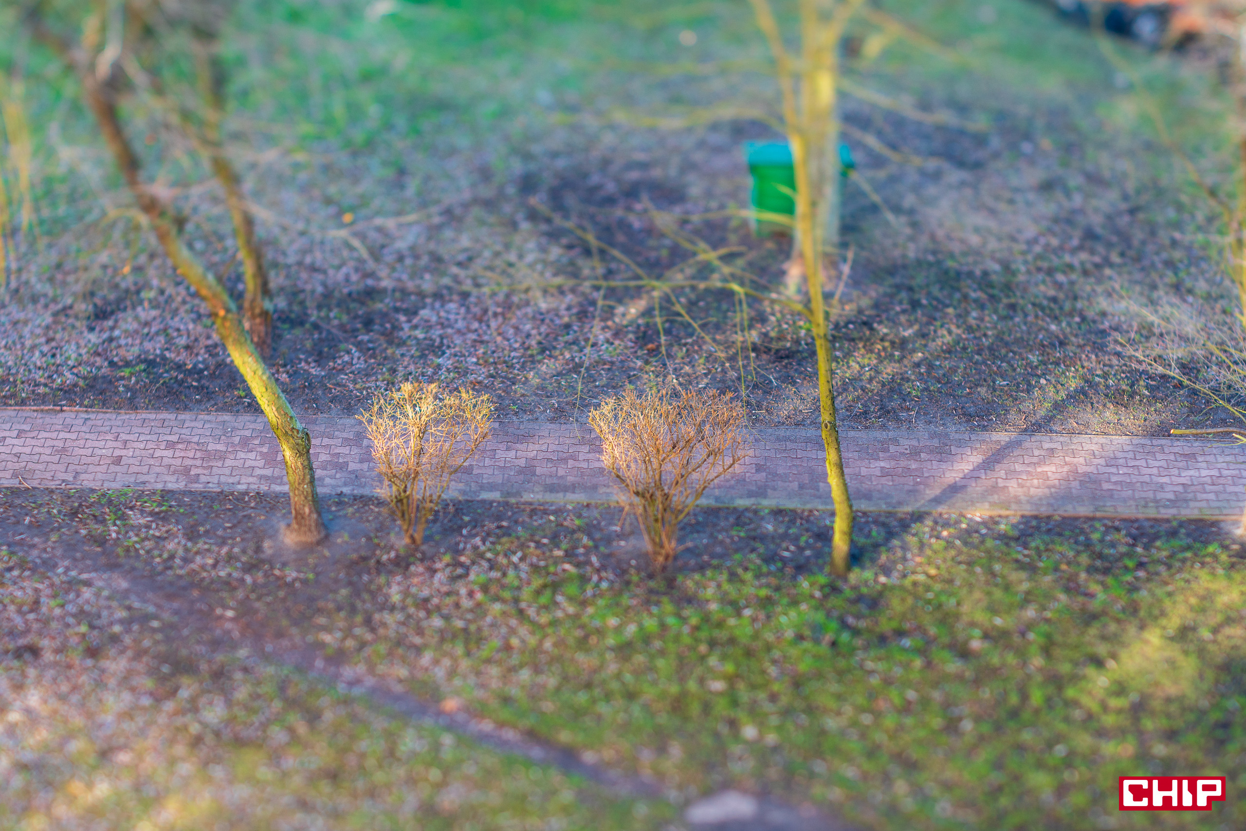 TTArtisan Tilt 50 mm f/1.4