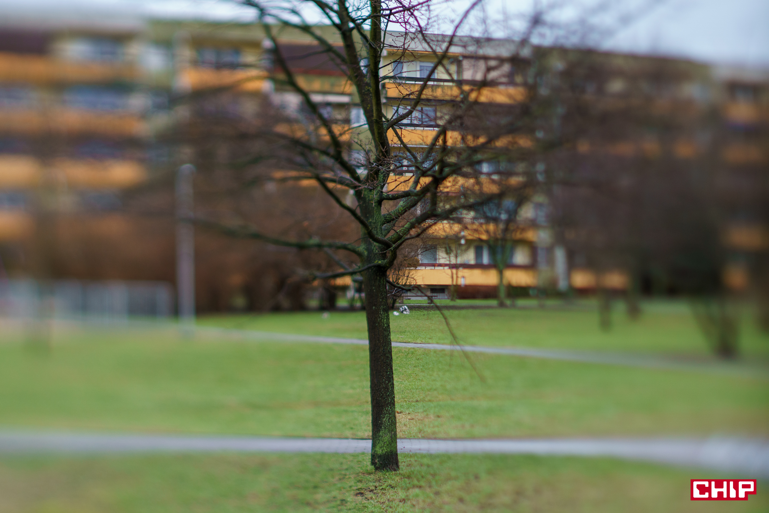 TTArtisan Tilt 50 mm f/1.4