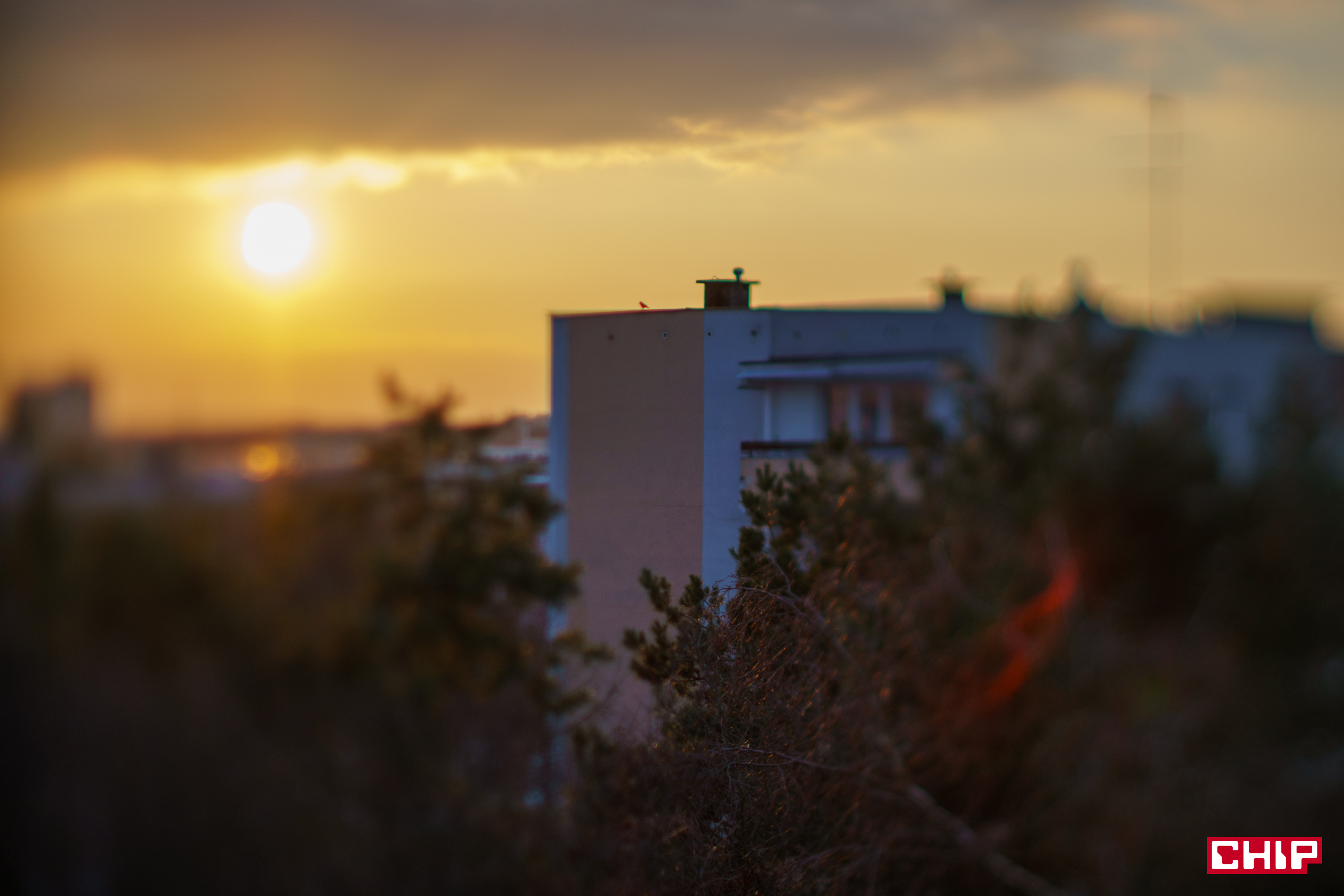 TTArtisan Tilt 50 mm f/1.4