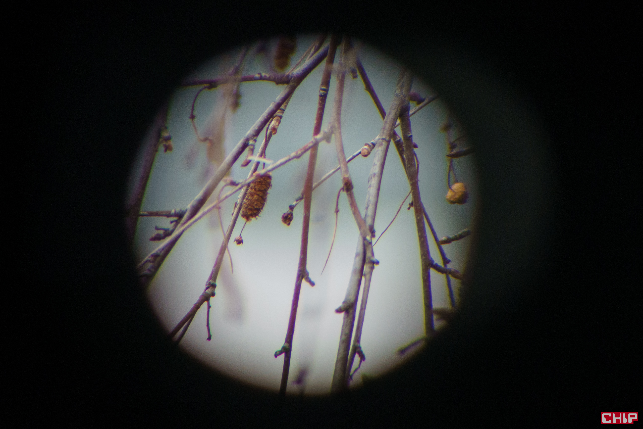 Canon 15x50 IS All Weather