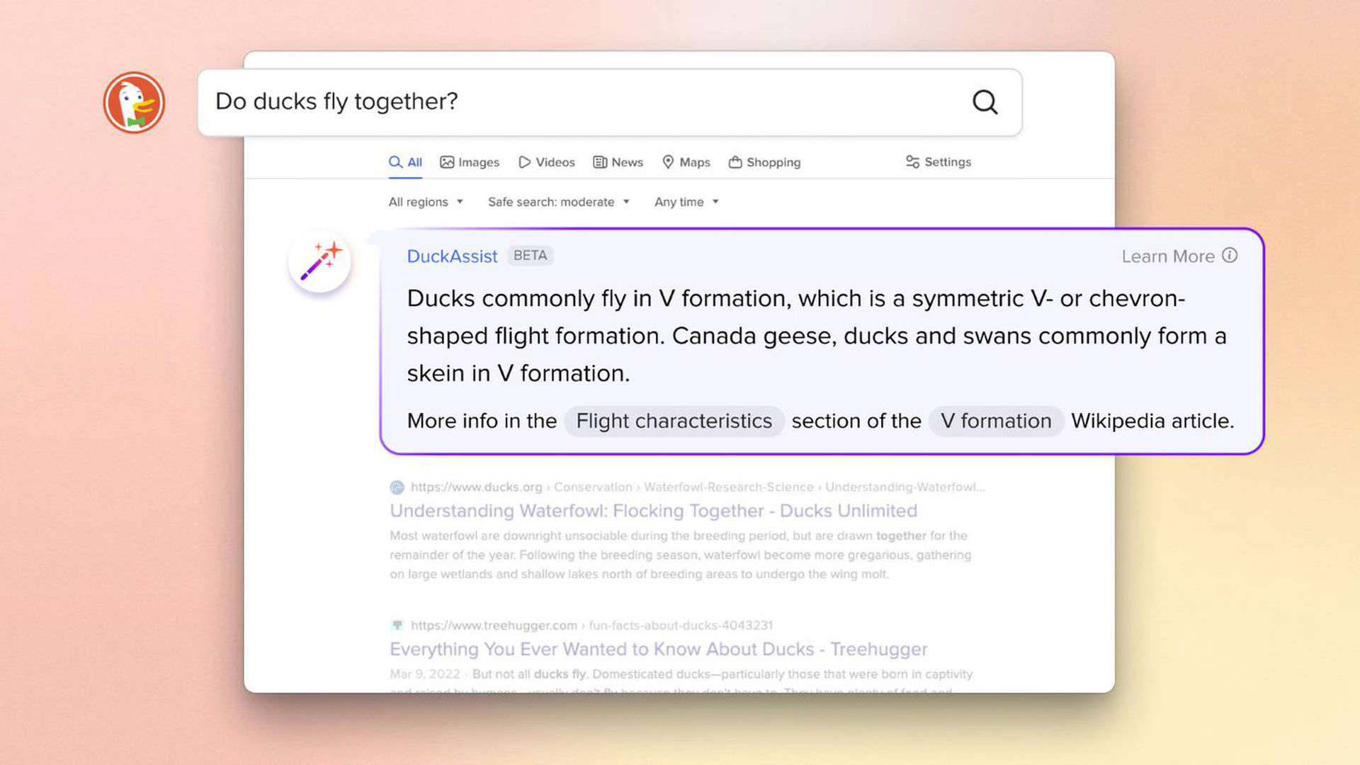 DuckAssist DuckDuckGo