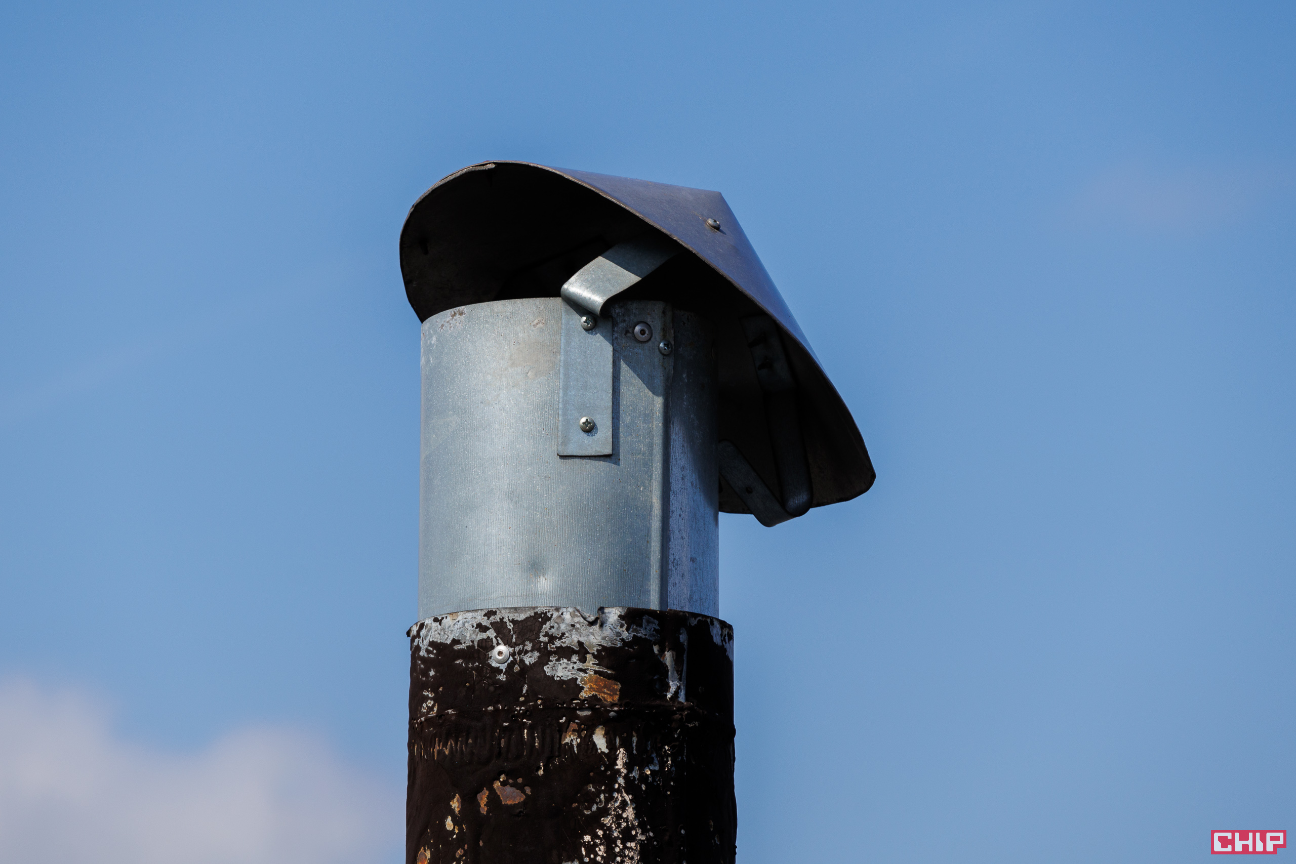 Canon EOS R50 sample