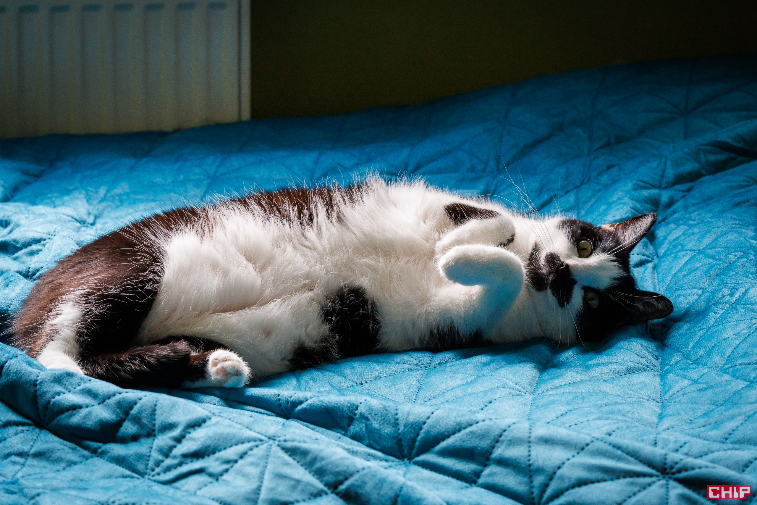 Canon EOS R50 sample