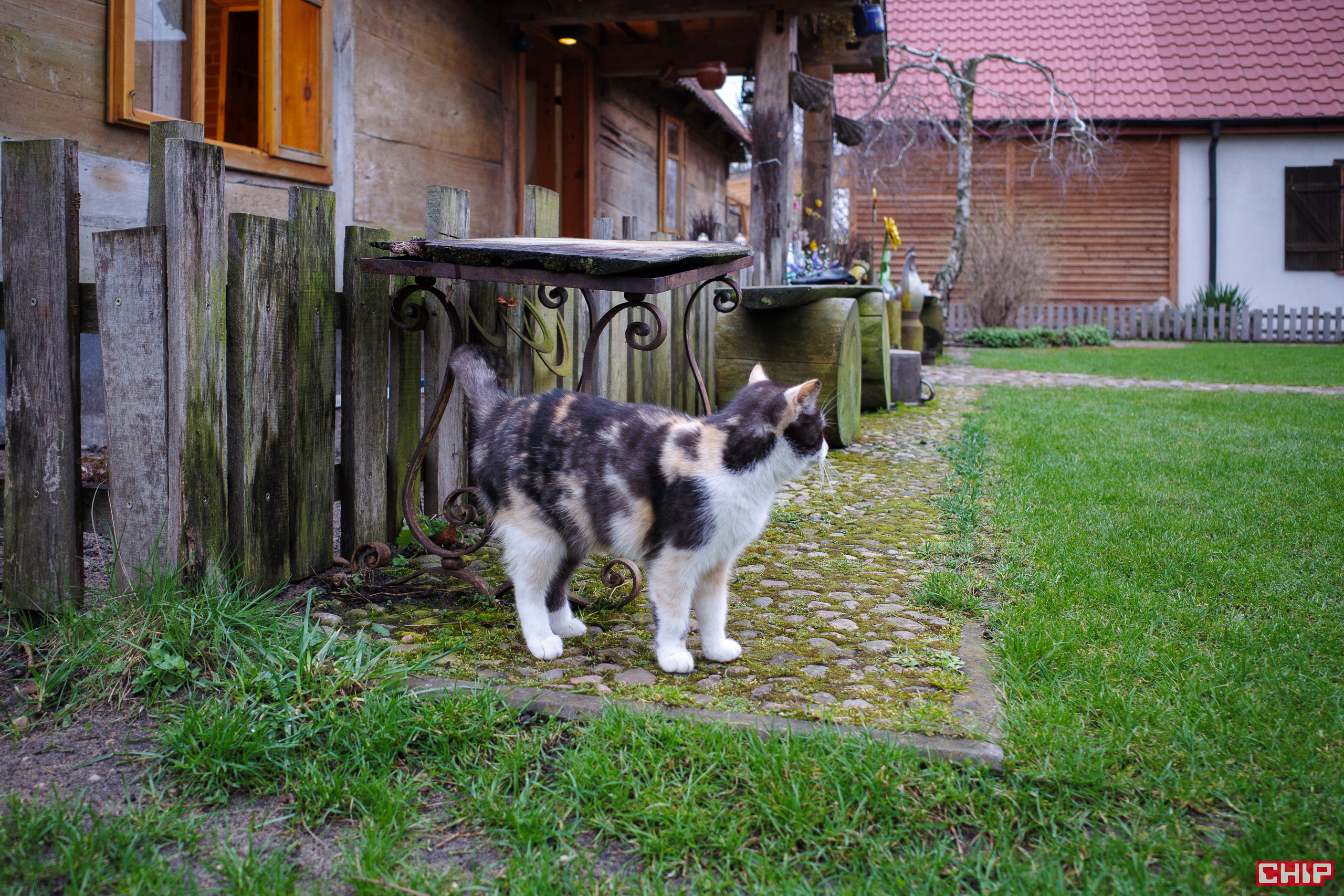 Ricoh GR III Street Edition