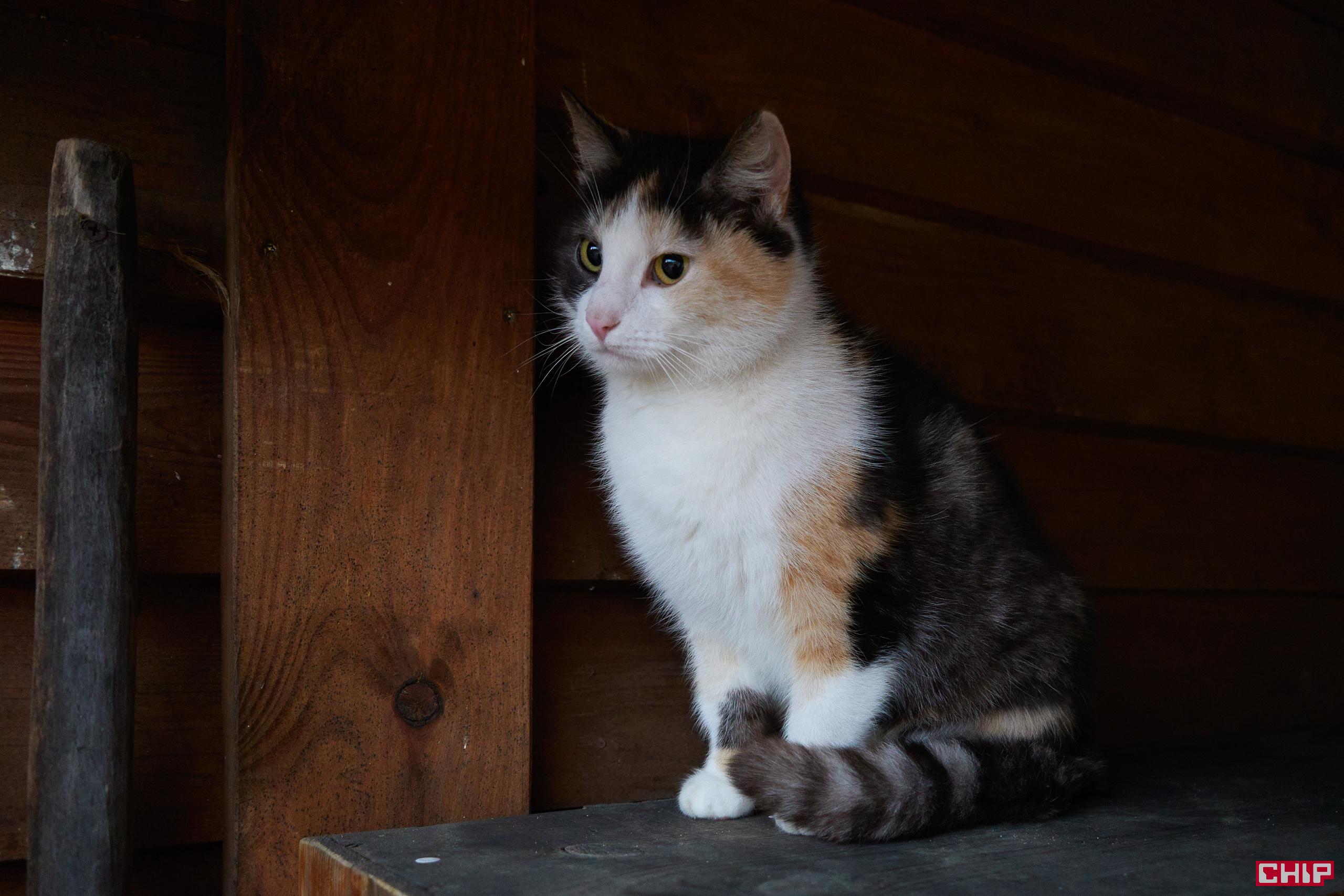 Ricoh GR III Street Edition