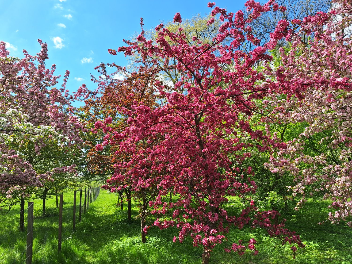 Przykładowe zdjęcie Samsung Galaxy A54 5G