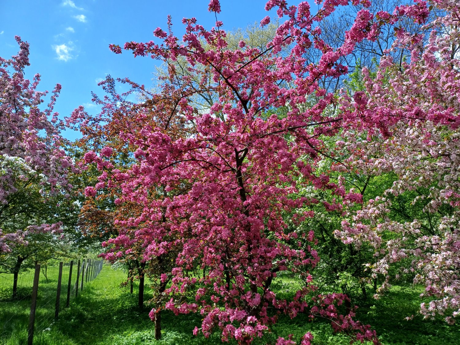 Przykładowe zdjęcie Samsung Galaxy A34 5G