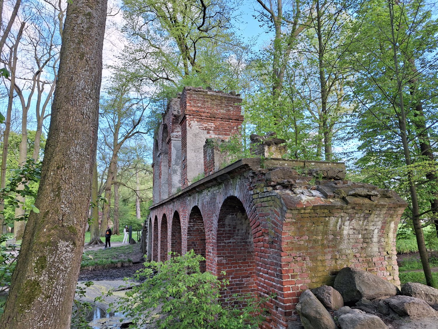 Przykładowe zdjęcie Samsung Galaxy A54 5G