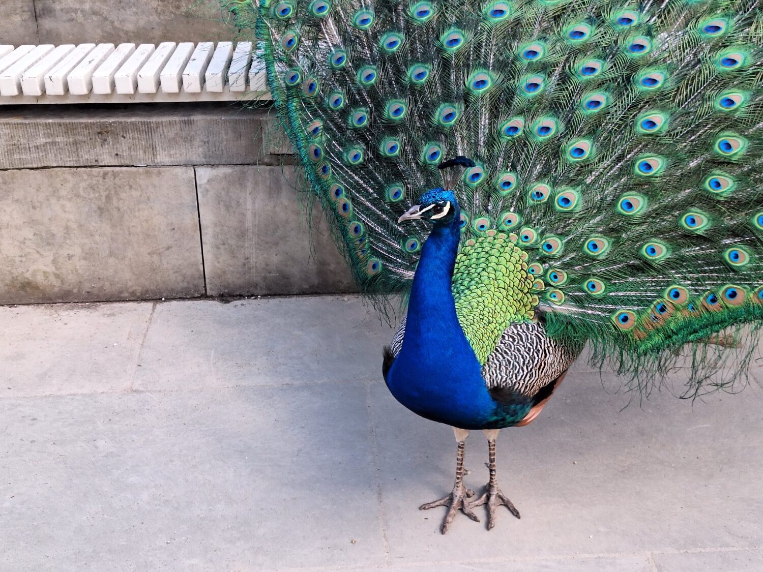 Przykładowe zdjęcie Samsung Galaxy A54 5G - zoom 2x