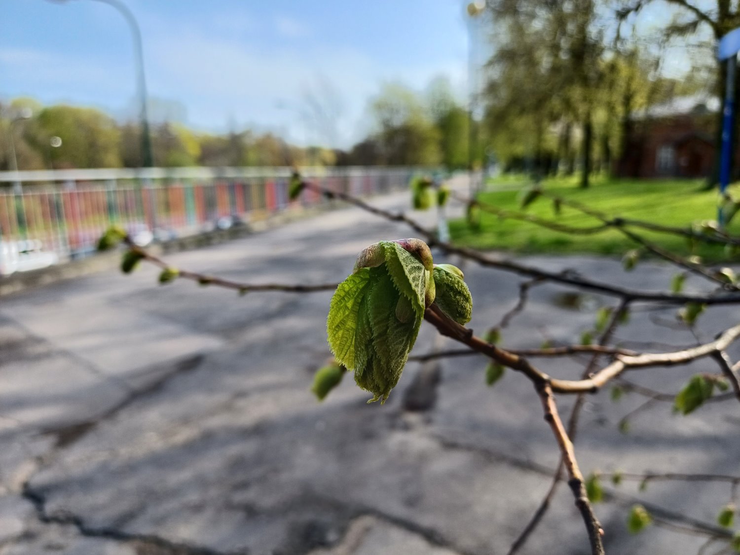 Przykładowe zdjęcie Samsung Galaxy A34 5G