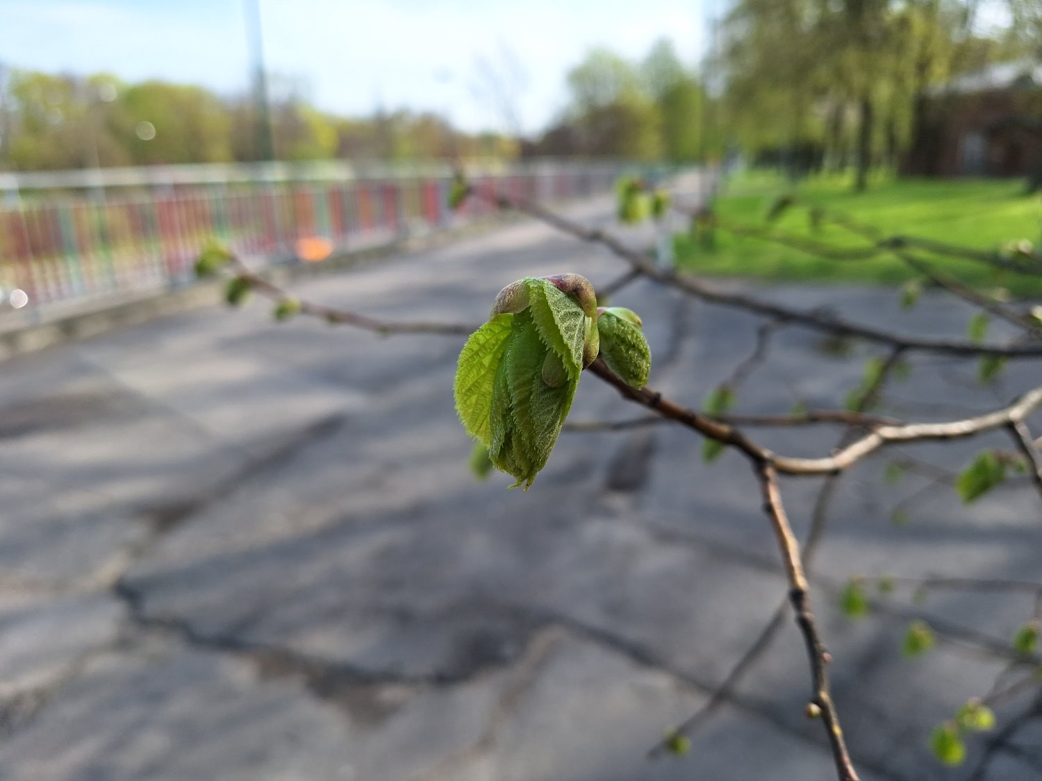 Przykładowe zdjęcie Samsung Galaxy A54 5G