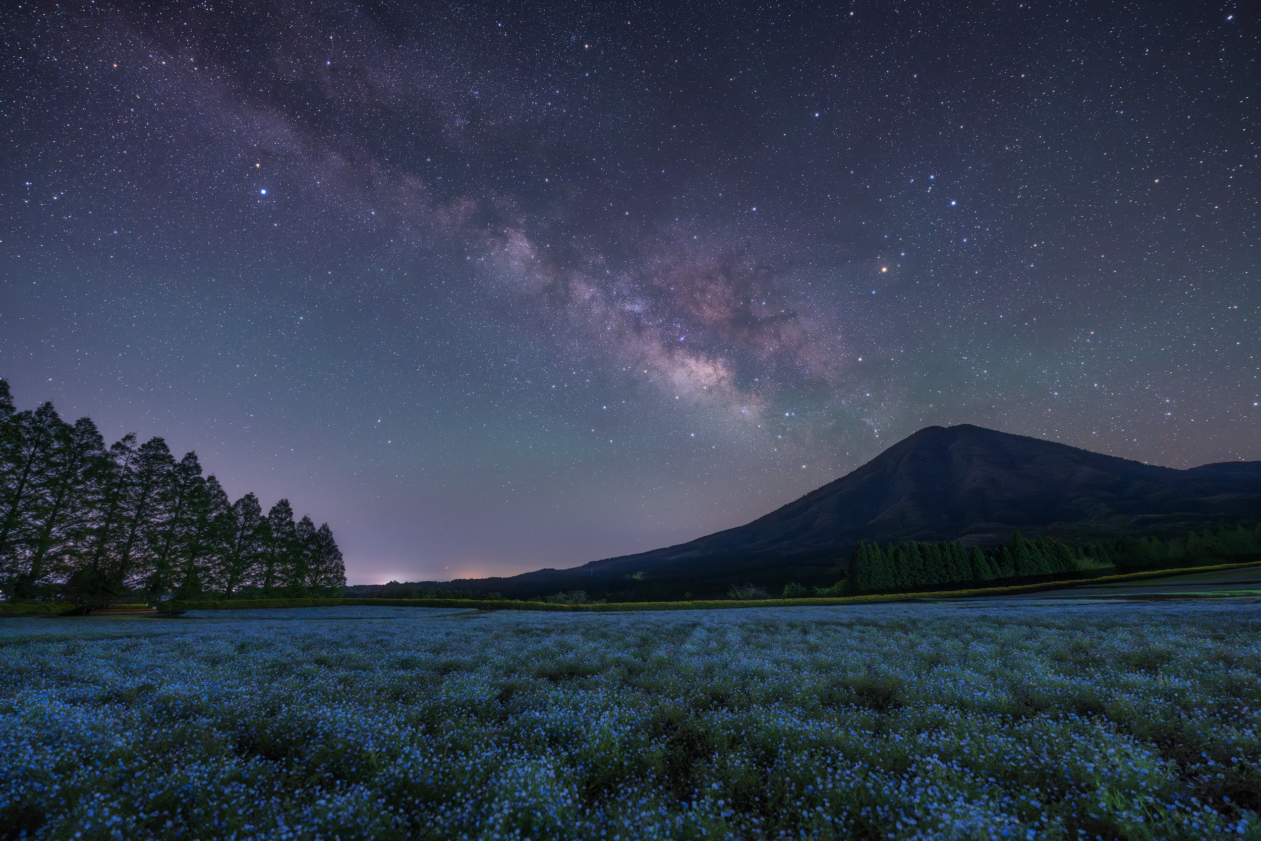 Sigma 14 mm f/1.4 DG DN