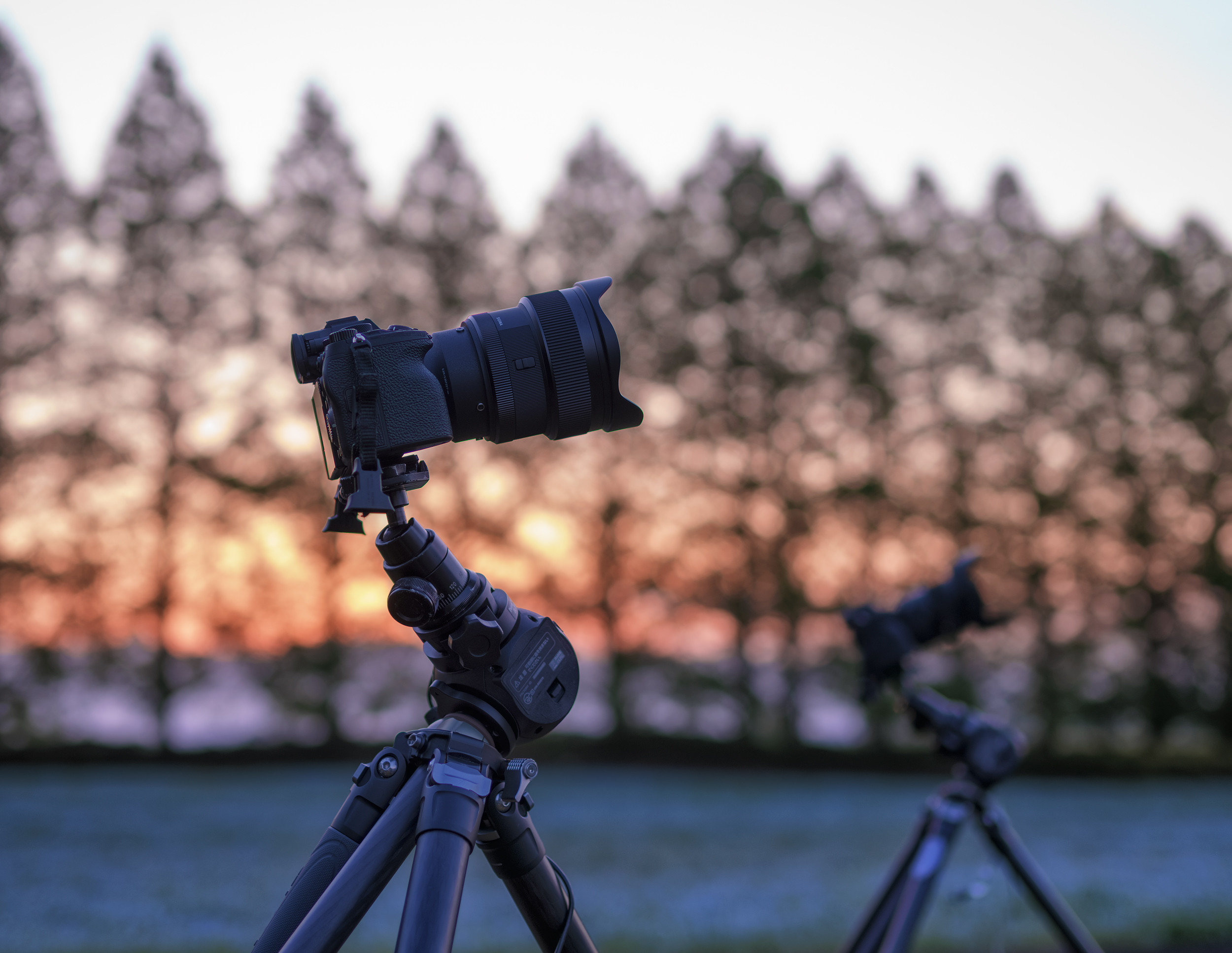 Sigma 14 mm f/1.4 DG DN