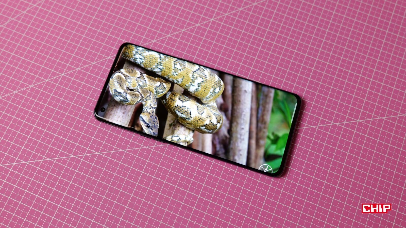 OPPO Find X5 Pro - ekran wyświetla film w HDR