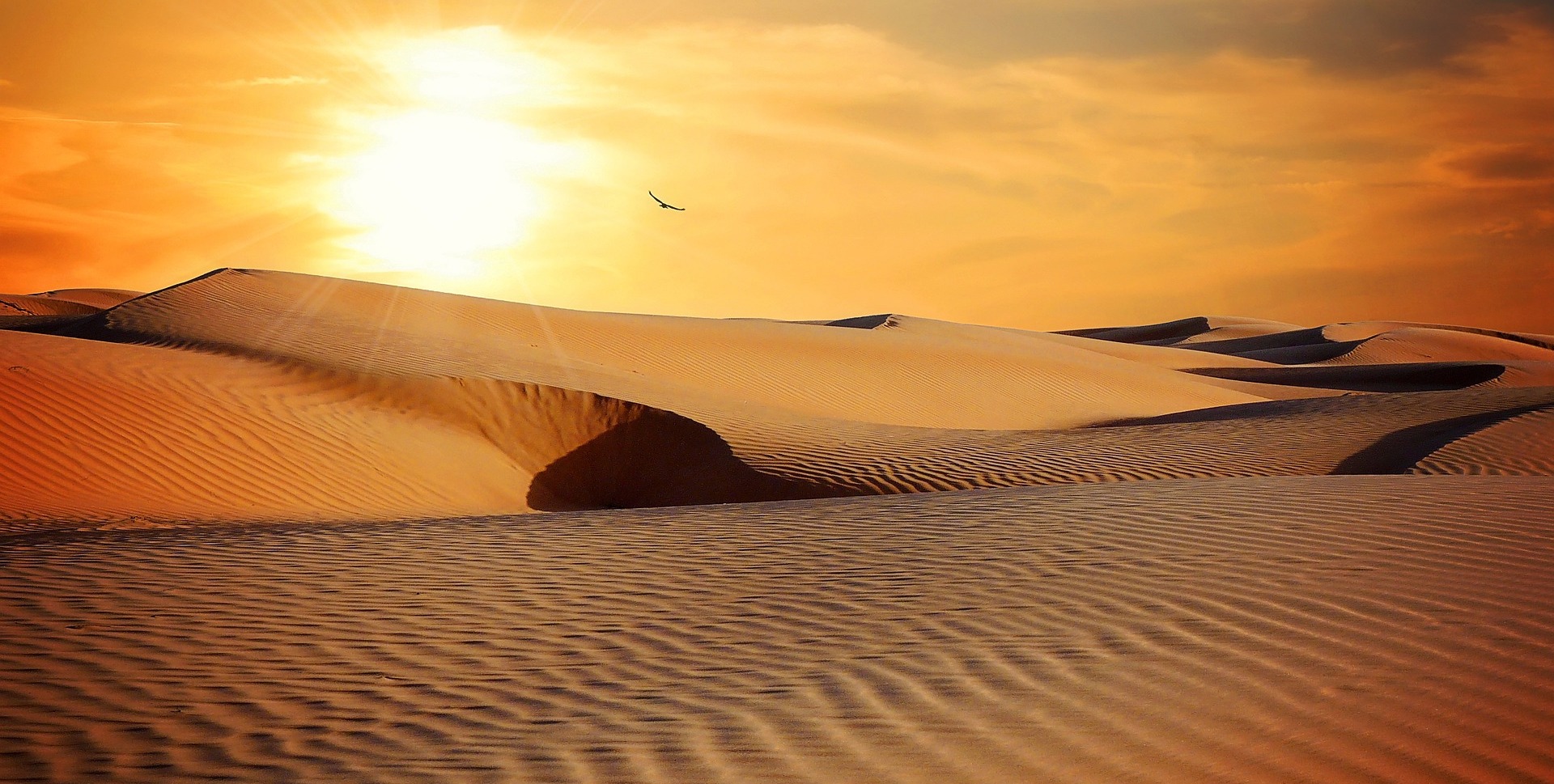 Paliwo przyszłości bez dostępu do wody. Nowa technologia wymaga tylko 20% wilgotności powietrza