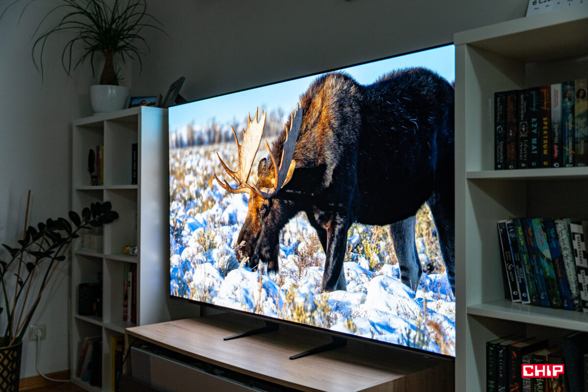 Jaki telewizor 65″ warto kupić? Oto kluczowe cechy i konkretne modele