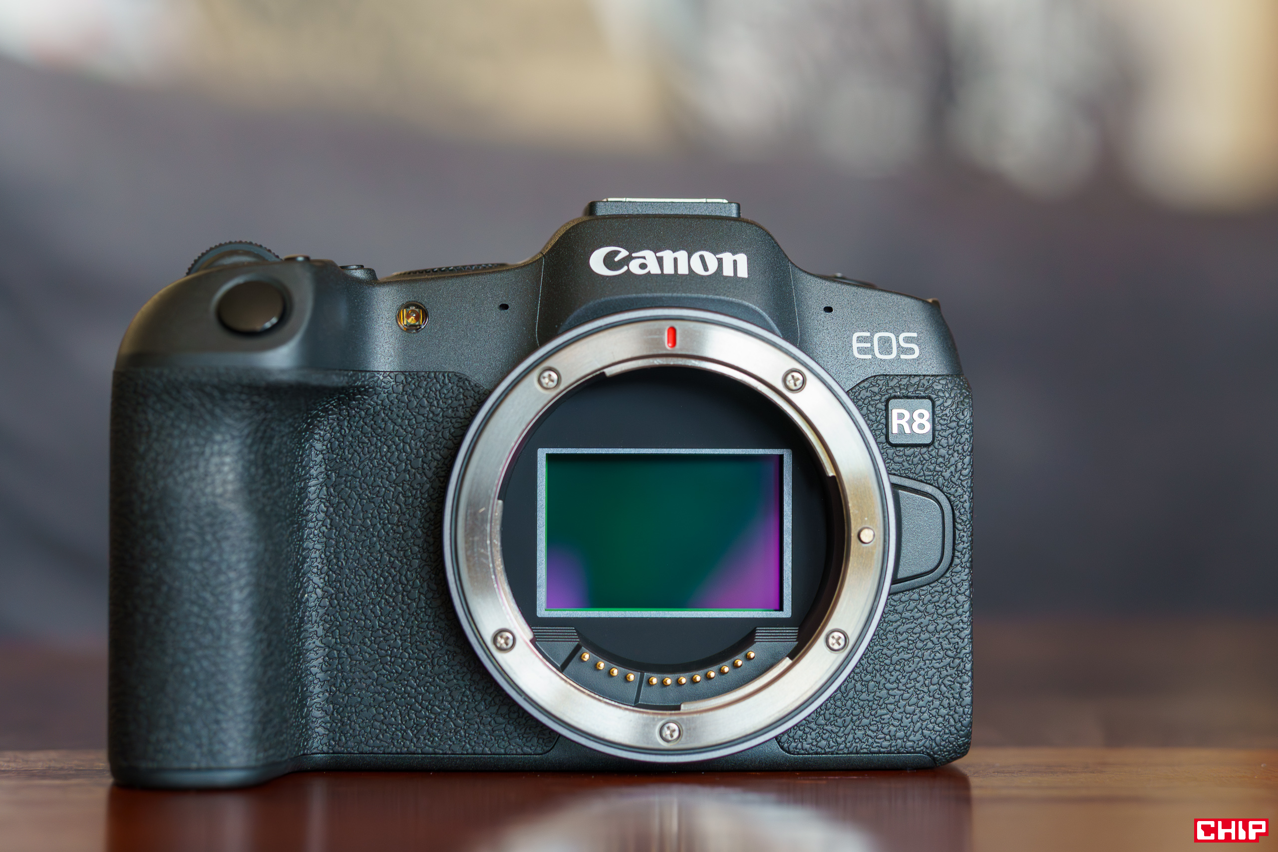 Canon EOS R8