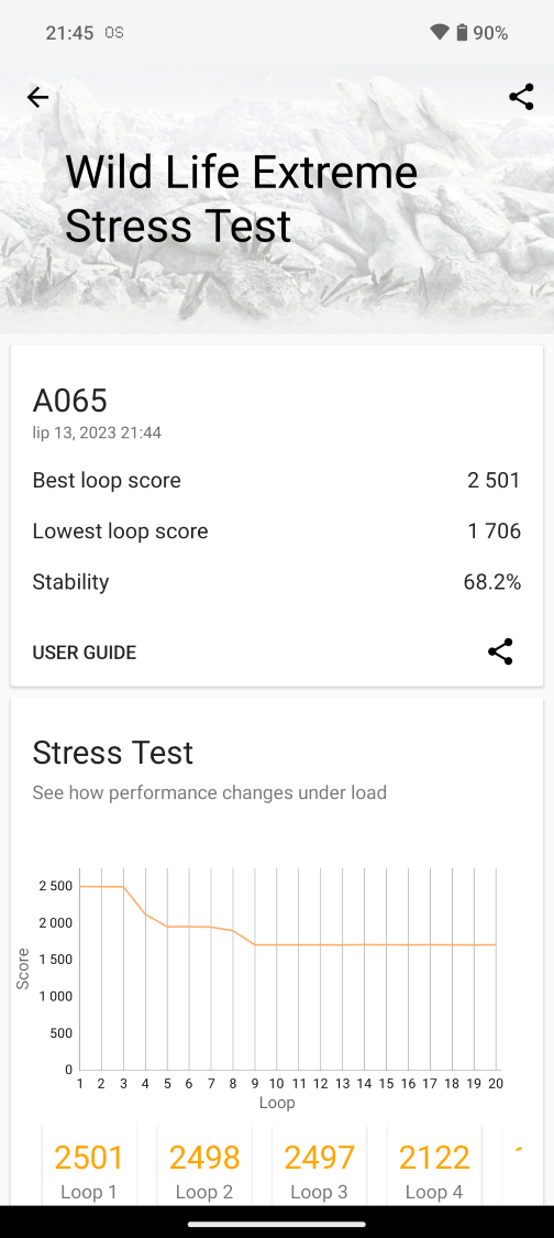 Nothing Phone (2) - Wild Life Extreme Stress Test