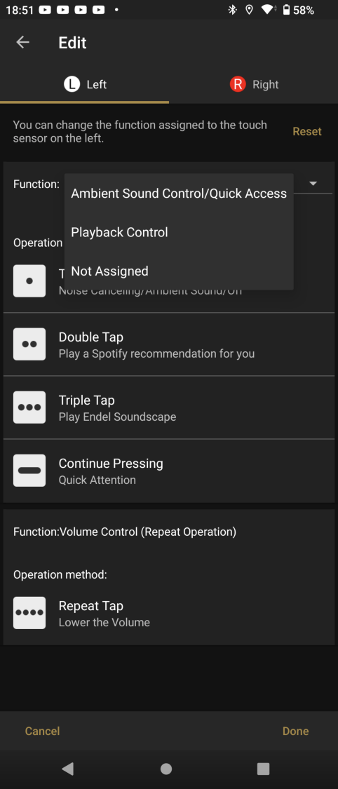 Gesty dla lewego ucha - możliwe opcje