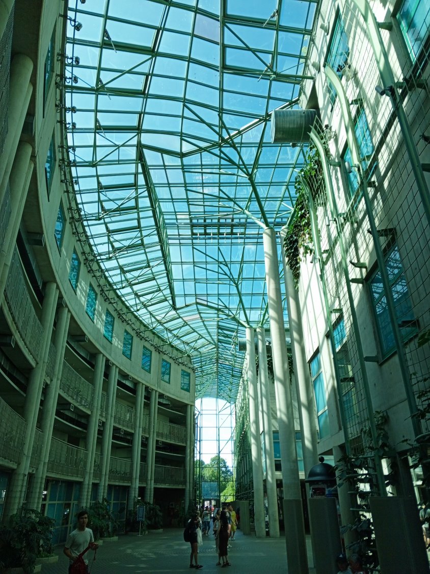 Zdjęcie za dnia z Tecno Spark 10 Pro