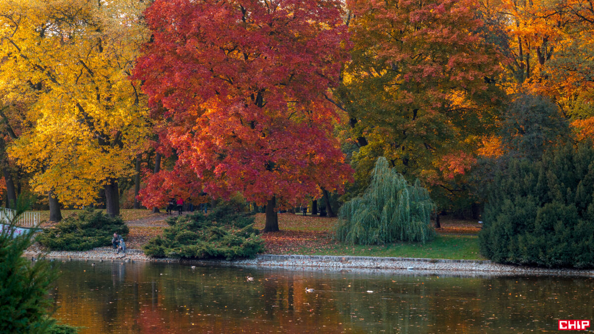 Złota jesień na zdjęciach: jak wykorzystać światło i kolory