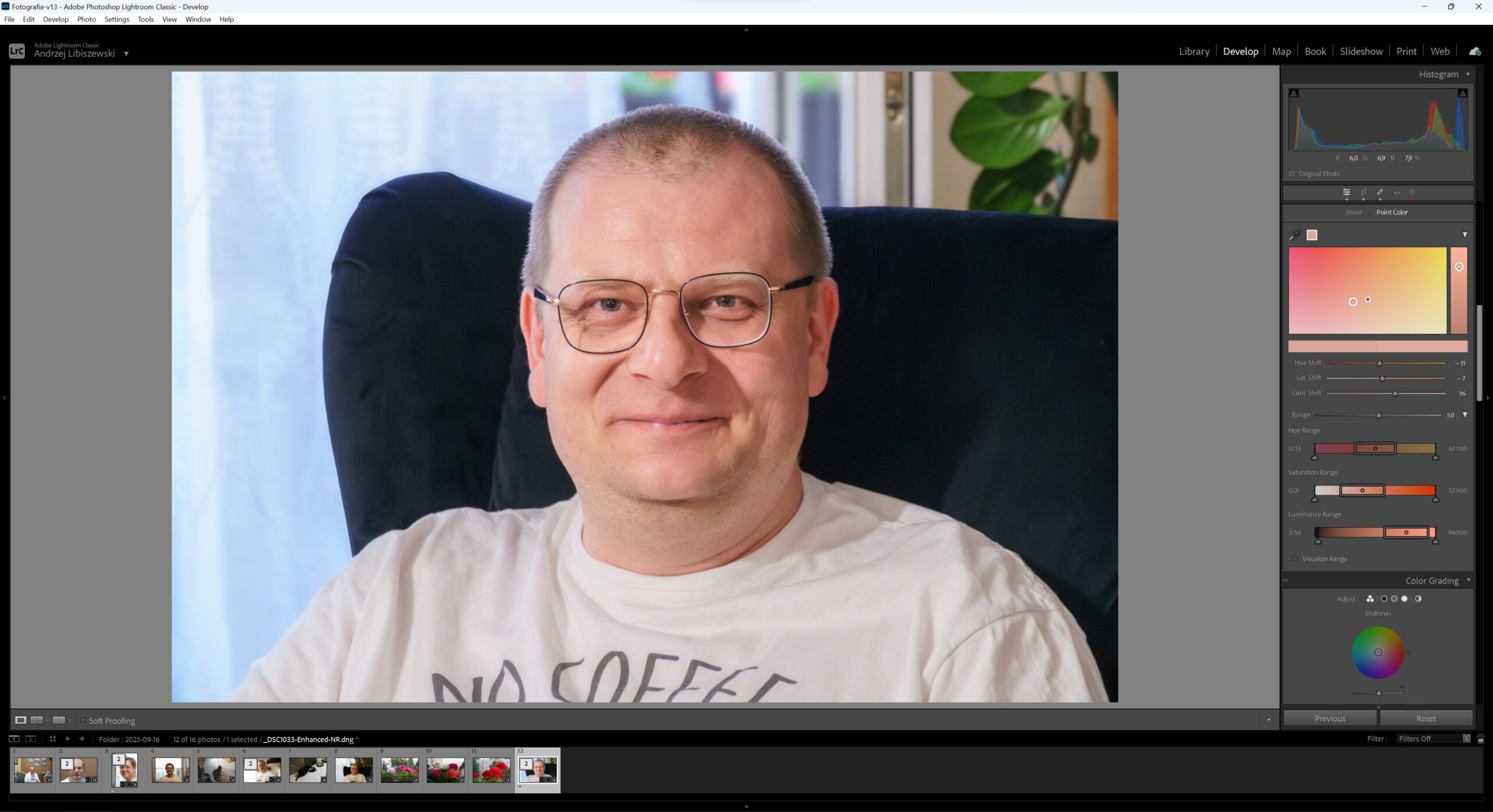 Lightroom New Point Color