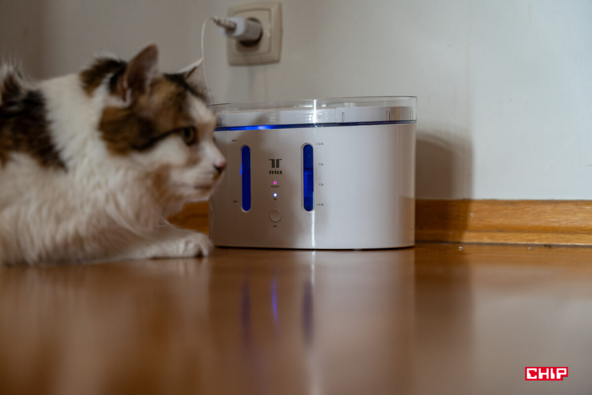 Test Tesla Smart Pet Fountain UV – koci wodopój w wersji inteligentnej