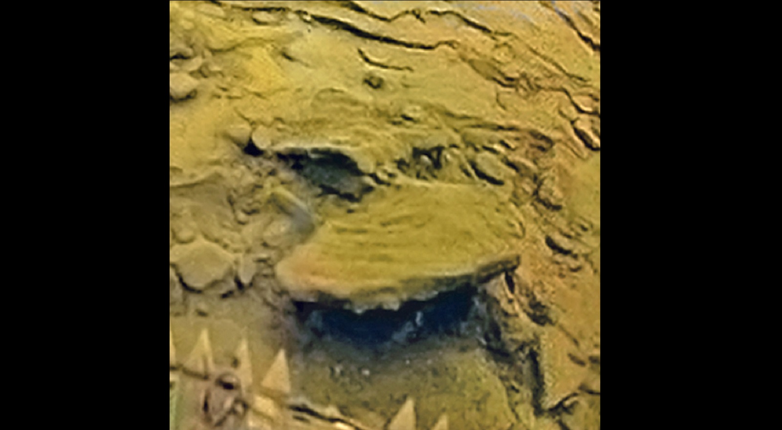 These are the only images taken on the surface of Venus.  They are truly terrifying