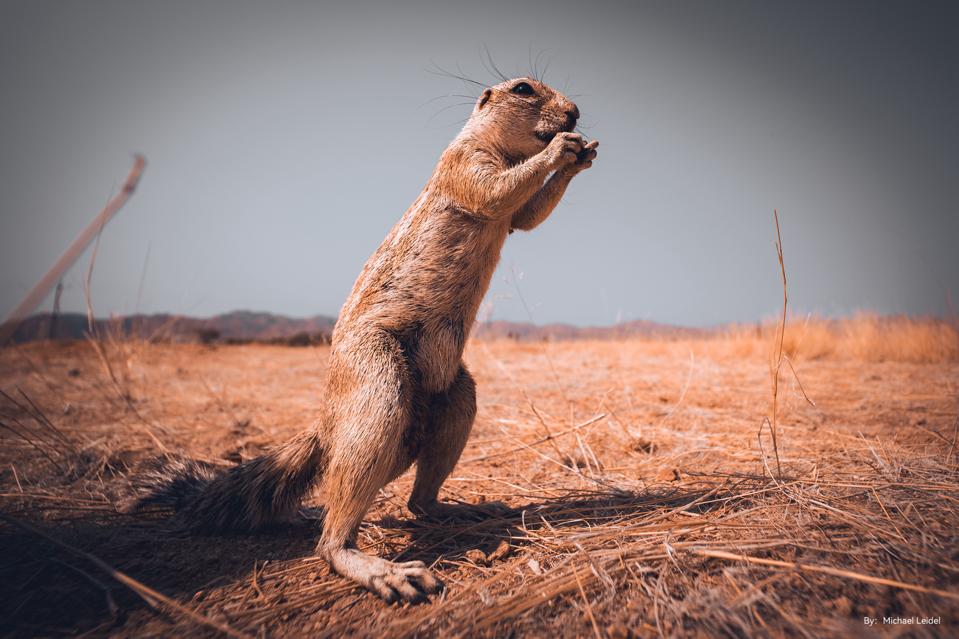 TTArtisan 10 mm f/2 sample